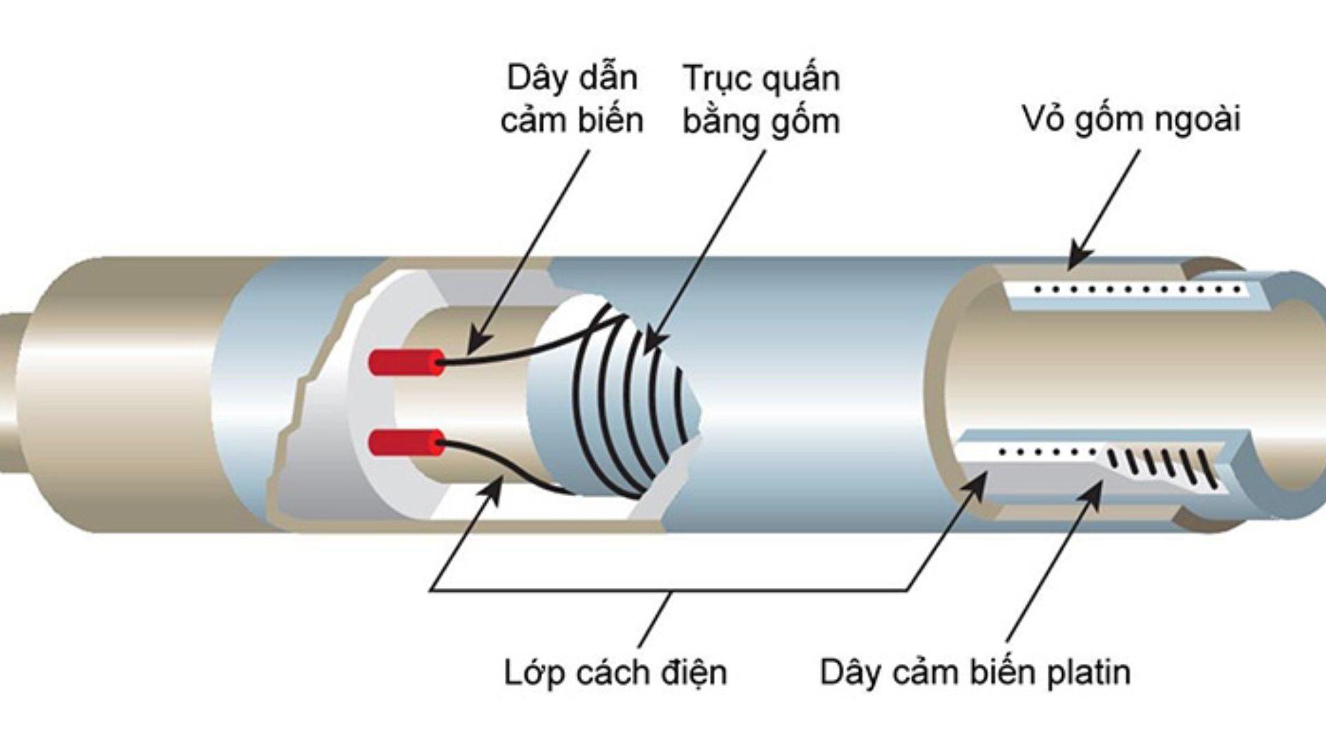cảm biến là gì